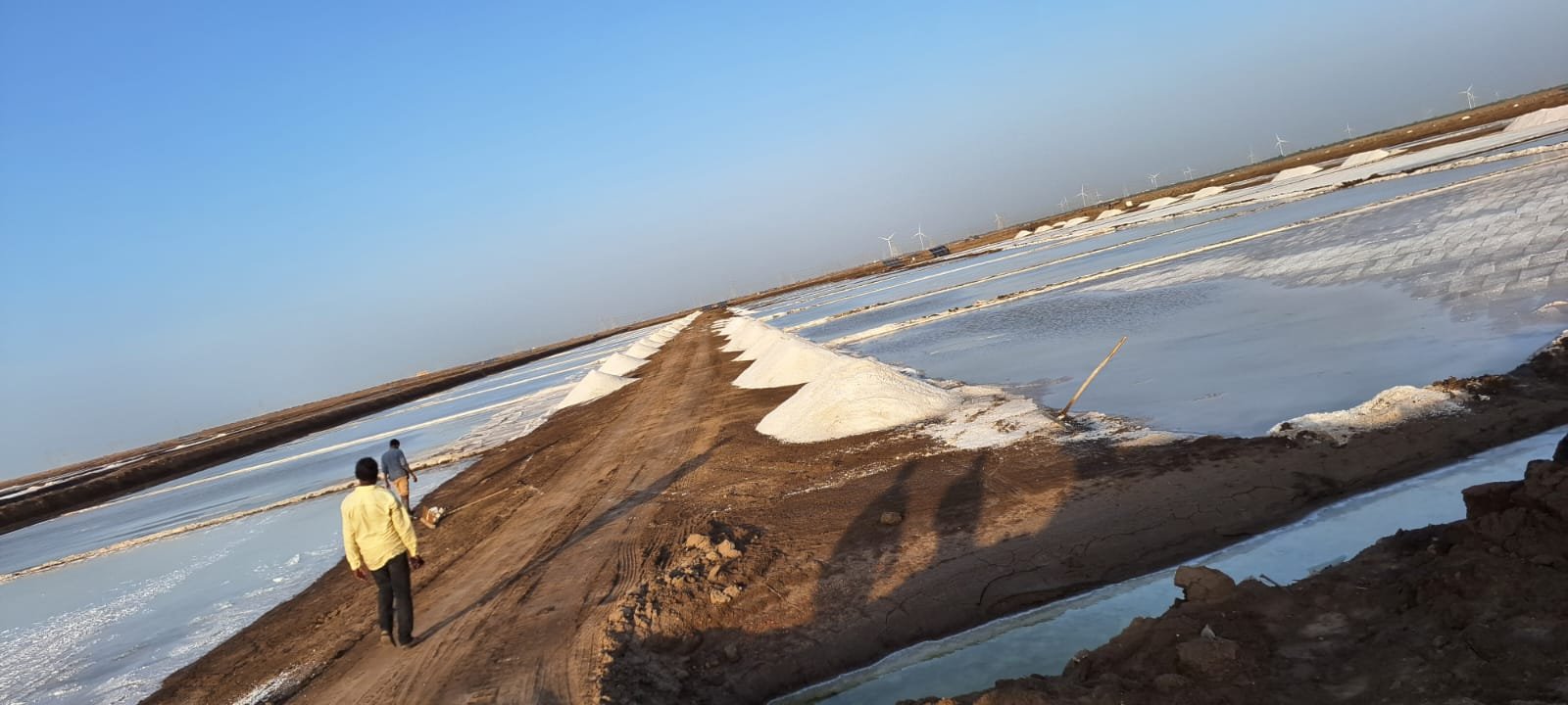 Solar salt evaporation pans and harvested salt at a coastal salt works