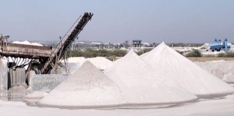 Conveyor stacking washed silica sand