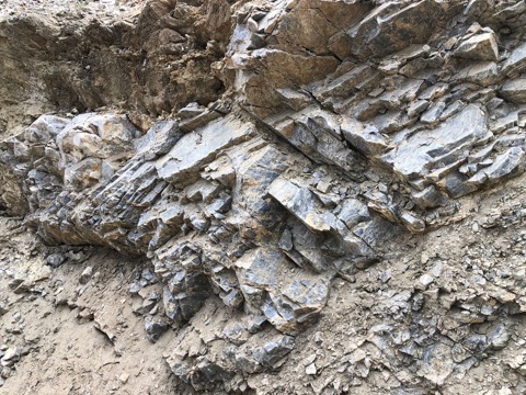 Weathered quartzite outcrop at exploration site